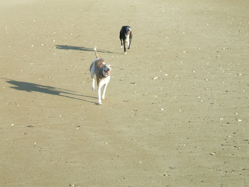 LA PLAGE